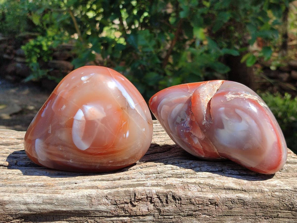 Polished Strawberry Agate Nodules x 2 From Zululand, South Africa