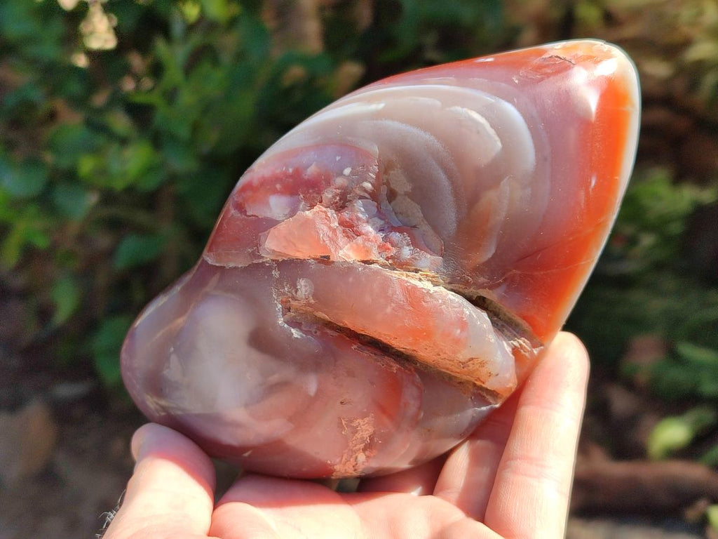 Polished Strawberry Agate Nodules x 2 From Zululand, South Africa