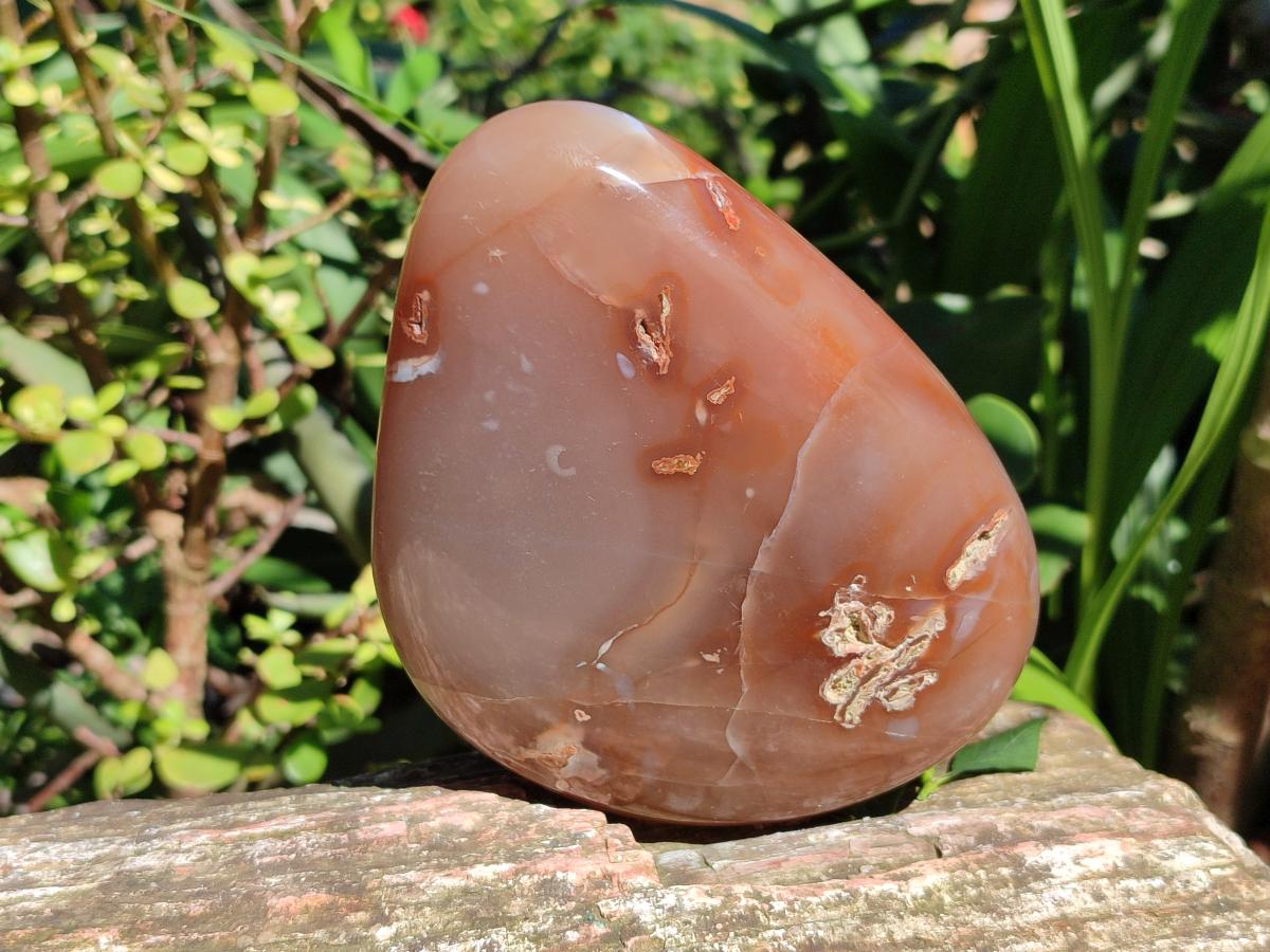 Polished Strawberry Agate Nodules x 2 From Zululand, South Africa