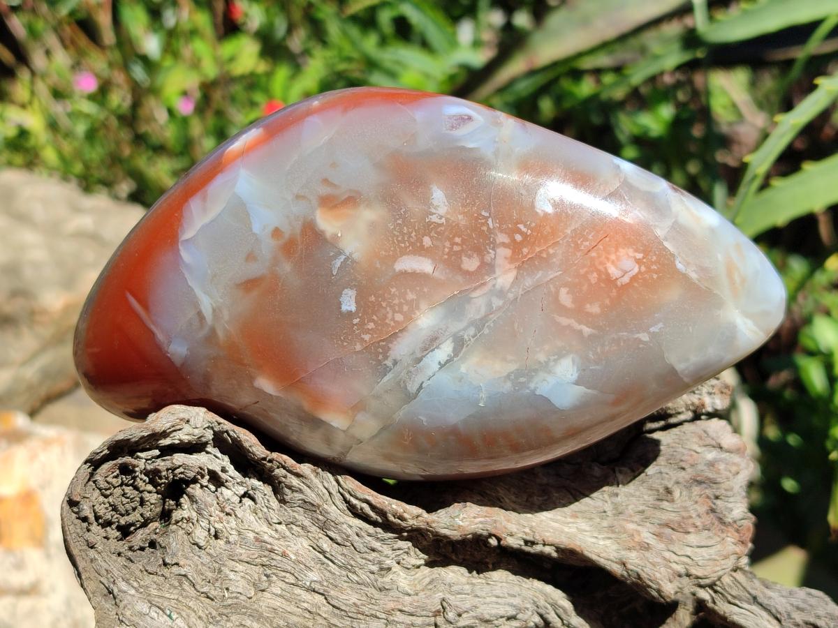 Polished Strawberry Agate Nodules x 2 From Zululand, South Africa