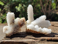 Natural Drusy Snow Finger Crystals x 12 From Albert's Mountain , Lesotho