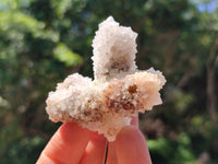 Natural Drusy Snow Finger Crystals x 12 From Albert's Mountain , Lesotho