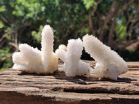 Natural Drusy Snow Finger Crystals x 12 From Albert's Mountain , Lesotho