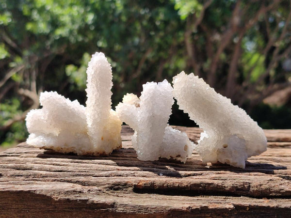 Natural Drusy Snow Finger Crystals x 12 From Albert's Mountain , Lesotho