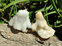 Natural Drusy Snow Finger Crystals x 12 From Albert's Mountain , Lesotho