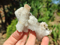 Natural Drusy Snow Finger Crystals x 12 From Albert's Mountain , Lesotho