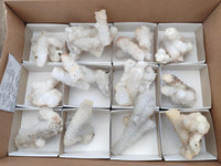 Natural Drusy Snow Finger Crystals x 12 From Albert's Mountain , Lesotho