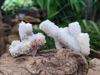 Natural Drusy Snow Finger Crystals x 12 From Albert's Mountain , Lesotho