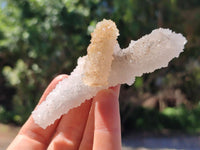 Natural Drusy Snow Finger Crystals x 12 From Albert's Mountain , Lesotho