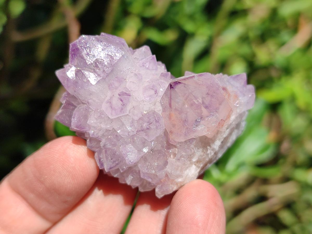 Natural Sunburst Amethyst Spirit Clusters x 20 From Boekenhouthoek, South Africa