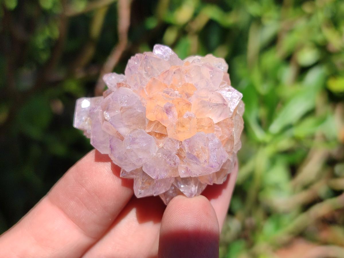 Natural Sunburst Amethyst Spirit Clusters x 20 From Boekenhouthoek, South Africa
