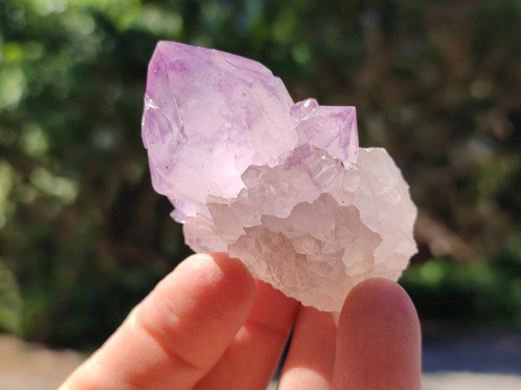 Natural Sunburst Amethyst Spirit Clusters x 20 From Boekenhouthoek, South Africa