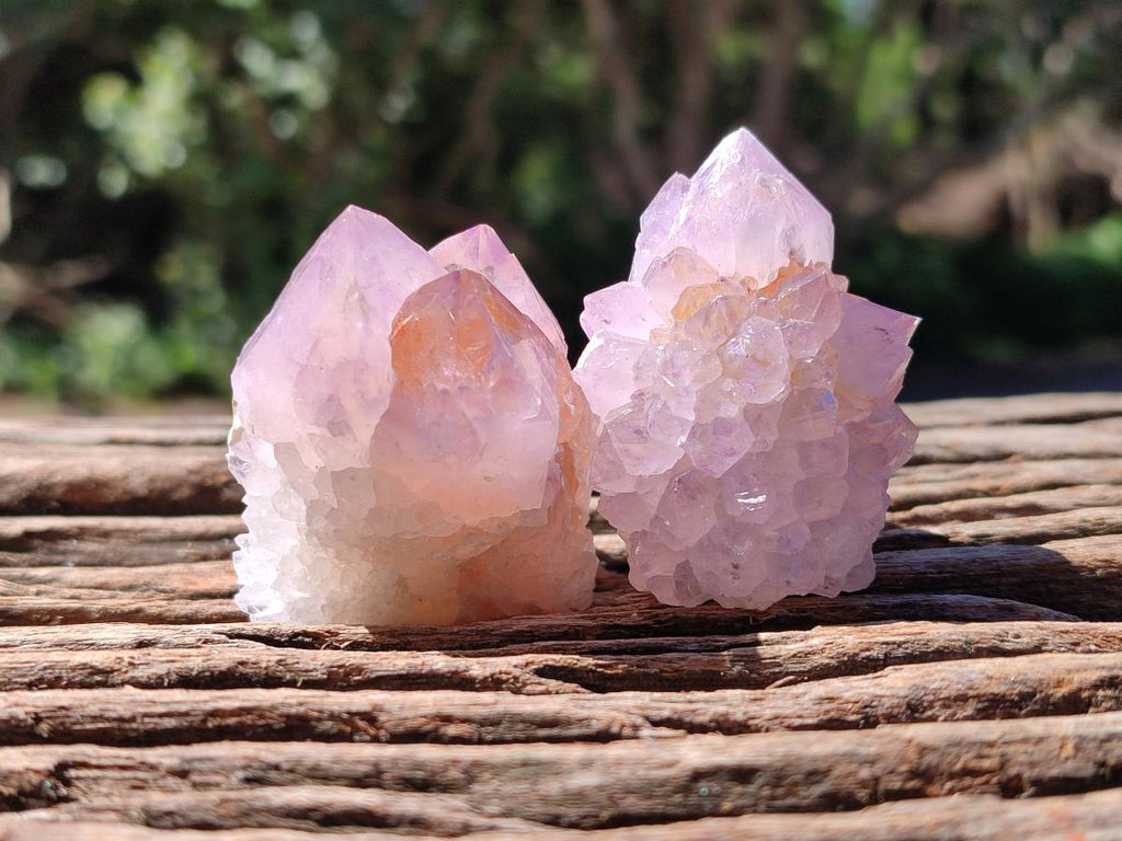 Natural Sunburst Amethyst Spirit Clusters x 20 From Boekenhouthoek, South Africa