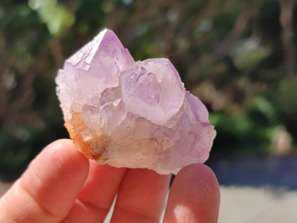 Natural Sunburst Amethyst Spirit Clusters x 20 From Boekenhouthoek, South Africa