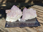 Natural Sunburst Amethyst Spirit Clusters x 20 From Boekenhouthoek, South Africa