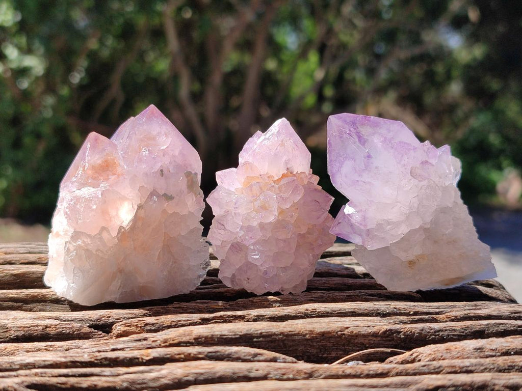 Natural Sunburst Amethyst Spirit Clusters x 20 From Boekenhouthoek, South Africa
