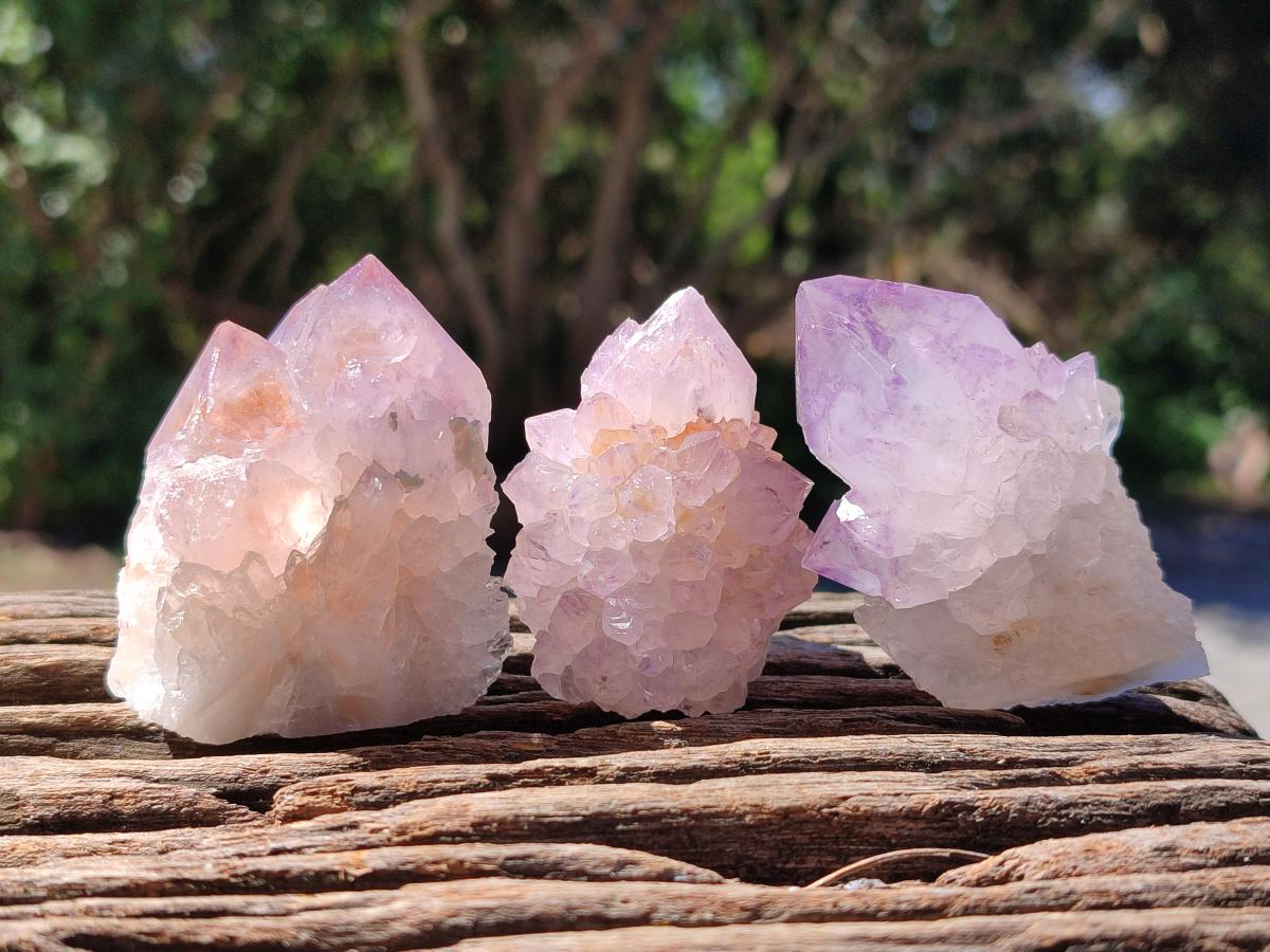 Natural Sunburst Amethyst Spirit Clusters x 20 From Boekenhouthoek, South Africa