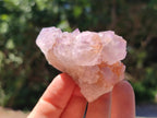 Natural Sunburst Amethyst Spirit Clusters x 20 From Boekenhouthoek, South Africa