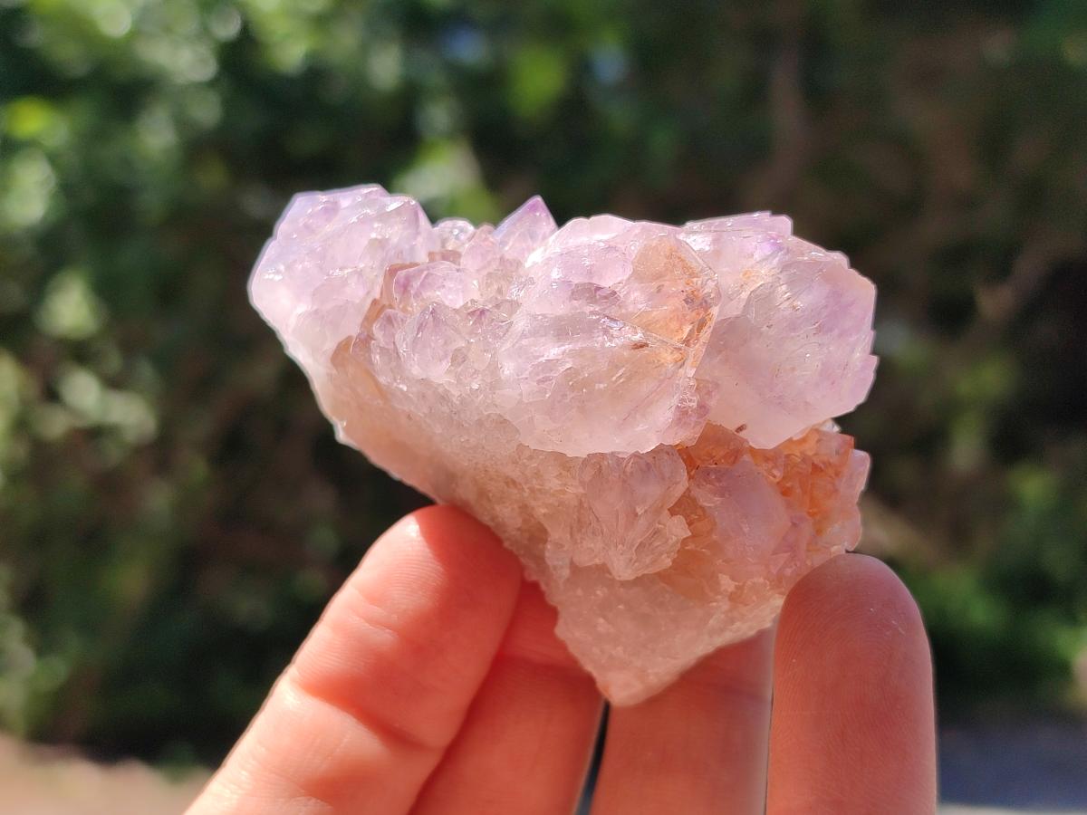 Natural Sunburst Amethyst Spirit Clusters x 20 From Boekenhouthoek, South Africa