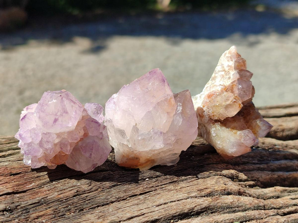 Natural Sunburst Amethyst Spirit Clusters x 20 From Boekenhouthoek, South Africa