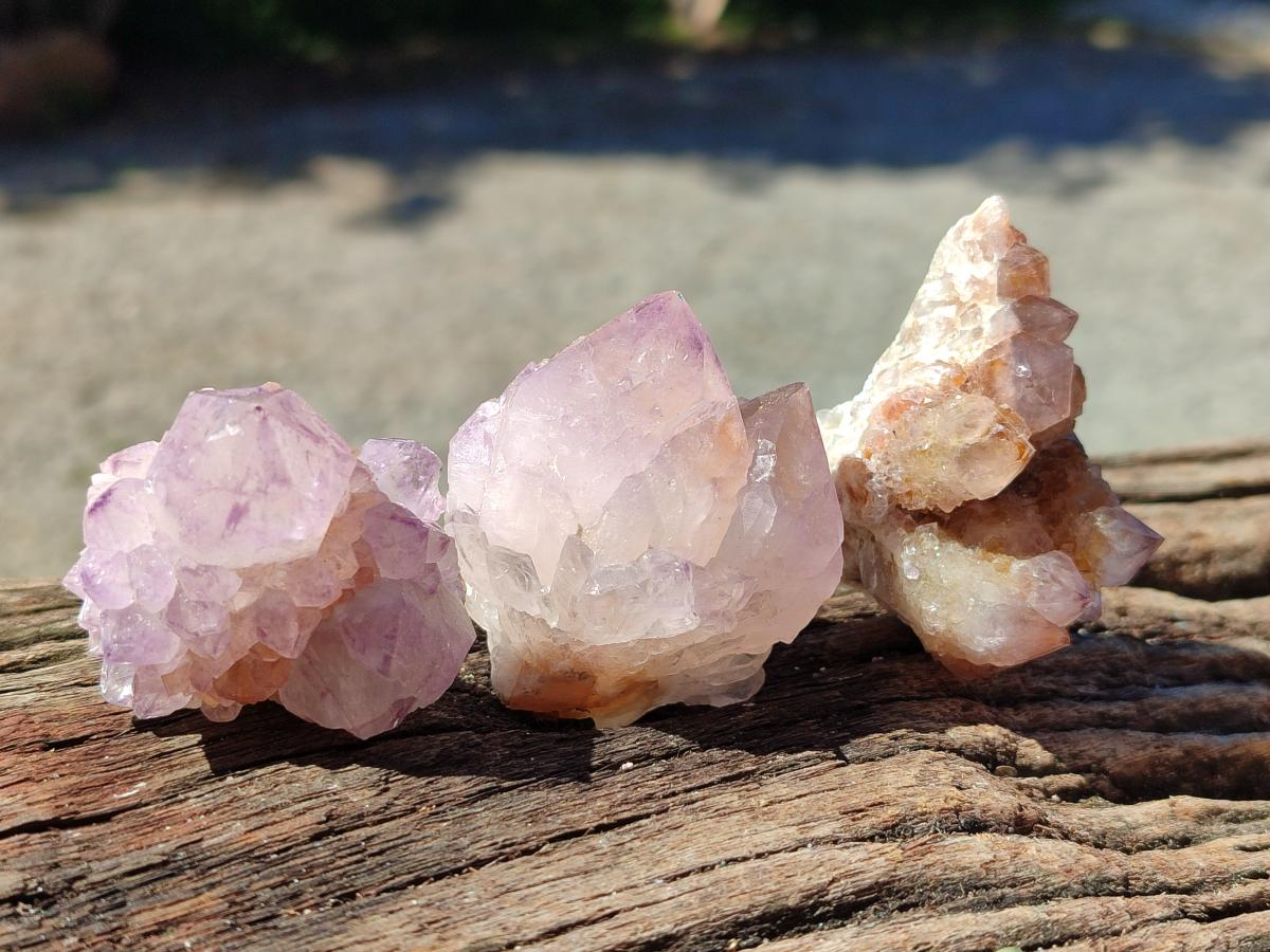 Natural Sunburst Amethyst Spirit Clusters x 20 From Boekenhouthoek, South Africa