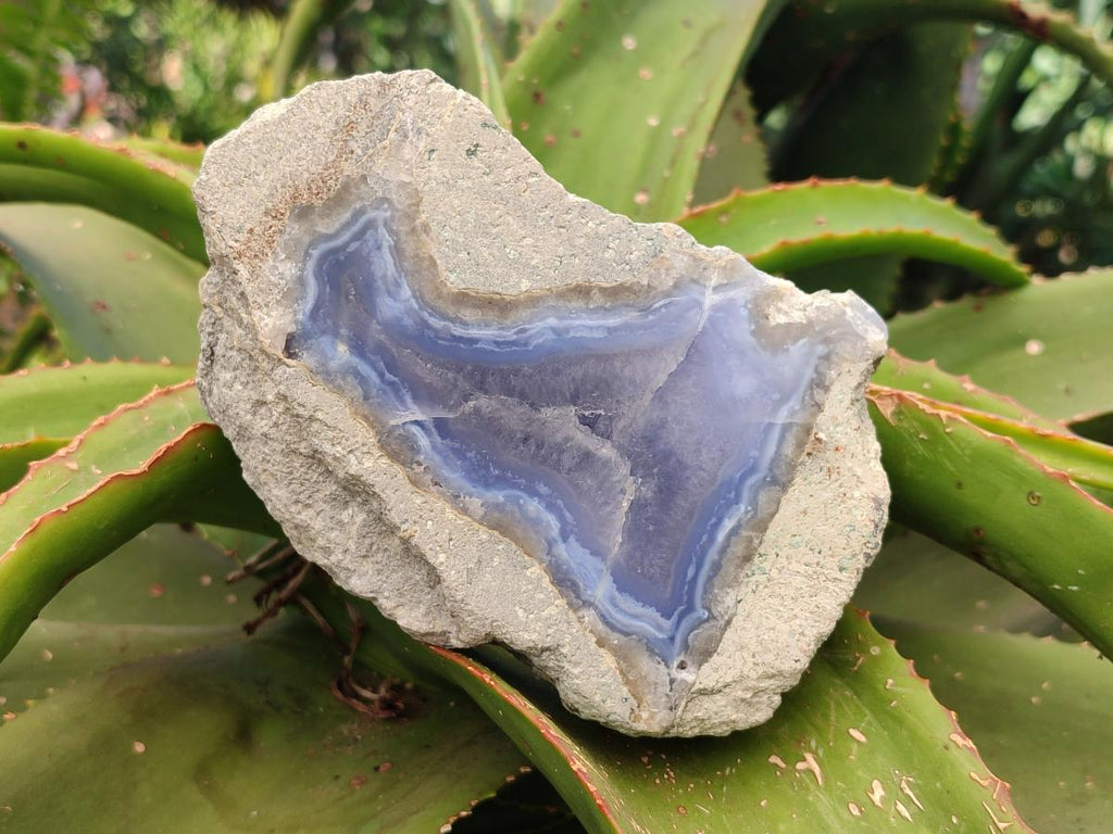 Polished On One Side Blue Lace Agate Geodes x 3 From Nsanje, Malawi