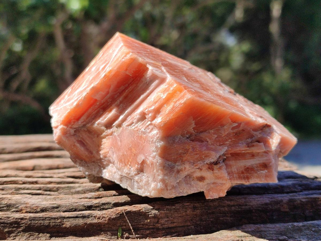 Natural Sunset Orange Calcite Specimens x 6 From Spitzkop, Namibia