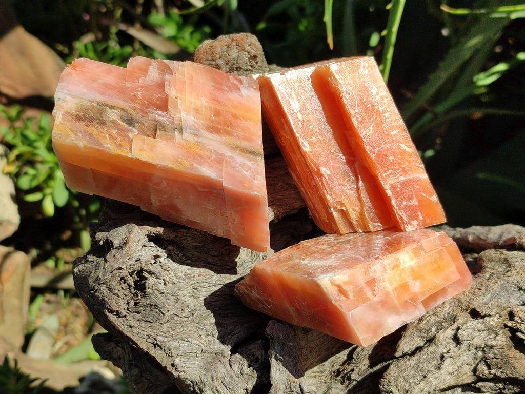 Natural Sunset Orange Calcite Specimens x 6 From Spitzkop, Namibia