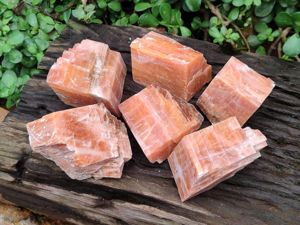Natural Sunset Orange Calcite Specimens x 6 From Spitzkop, Namibia