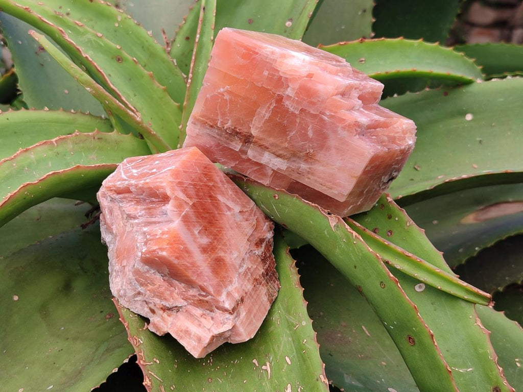 Natural Sunset Orange Calcite Specimens x 6 From Spitzkop, Namibia