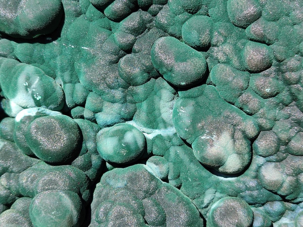 Natural XXL Botryoidal Malachite Specimen In Quartz x 1 From Congo