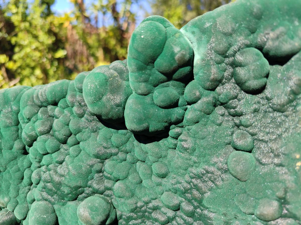 Natural XXL Botryoidal Malachite Specimen In Quartz x 1 From Congo