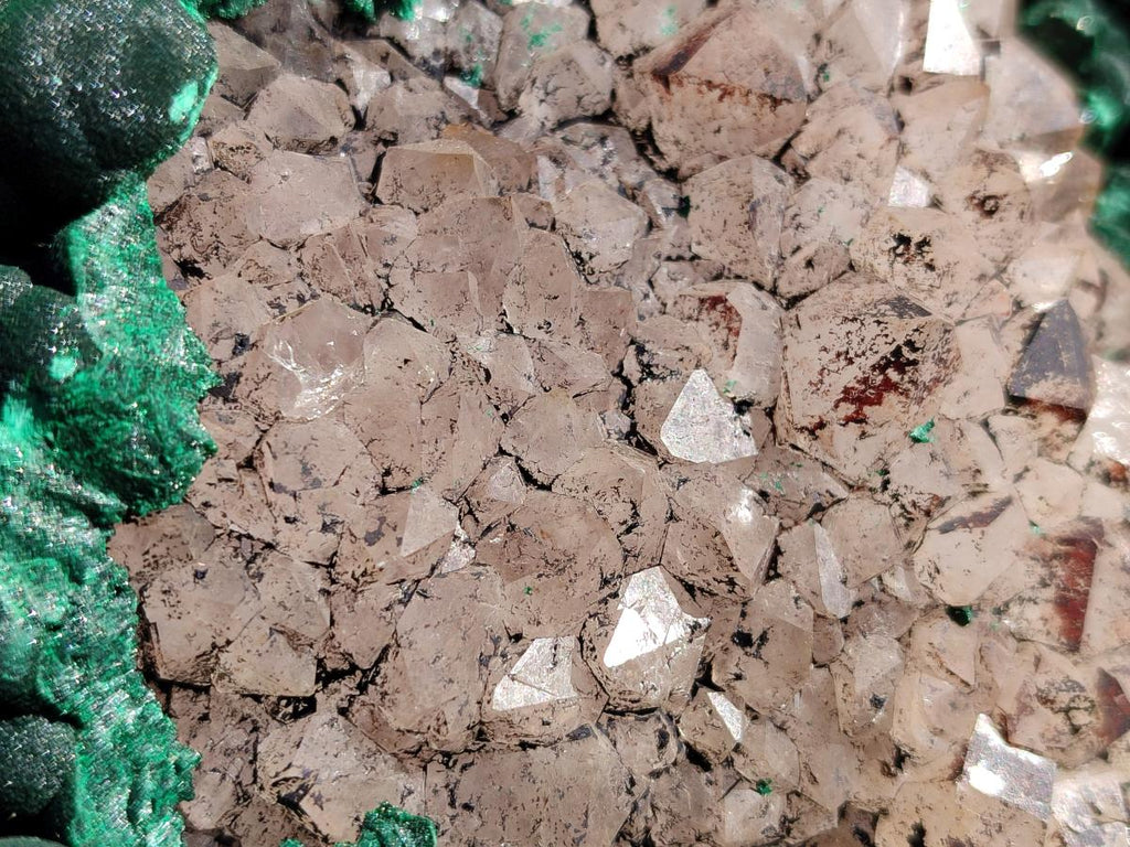 Natural XXL Botryoidal Malachite Specimen In Quartz x 1 From Congo