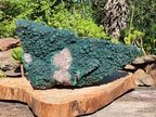 Natural XXL Botryoidal Malachite Specimen In Quartz x 1 From Congo