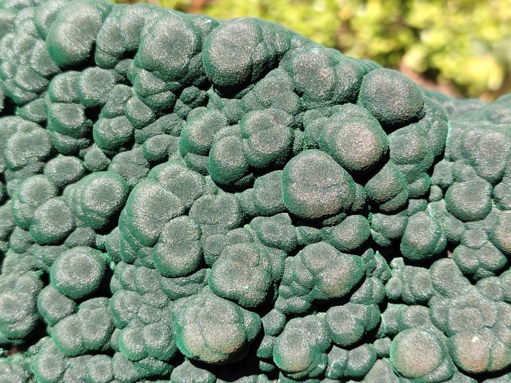 Natural XXL Botryoidal Malachite Specimen In Quartz x 1 From Congo