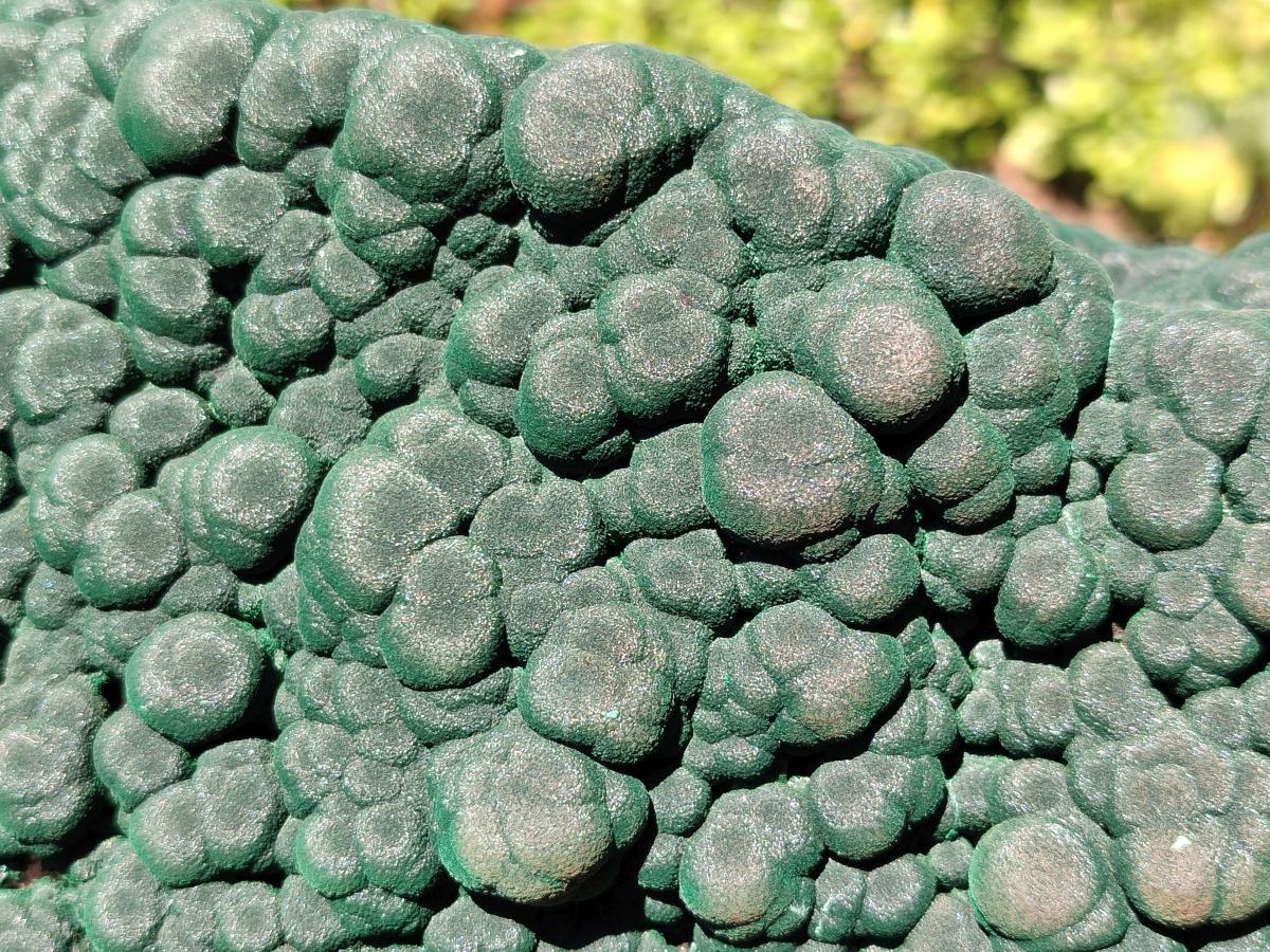 Natural XXL Botryoidal Malachite Specimen In Quartz x 1 From Congo
