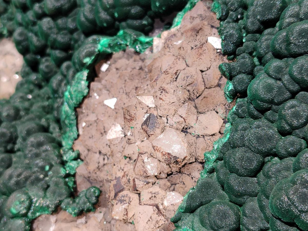 Natural XXL Botryoidal Malachite Specimen In Quartz x 1 From Congo