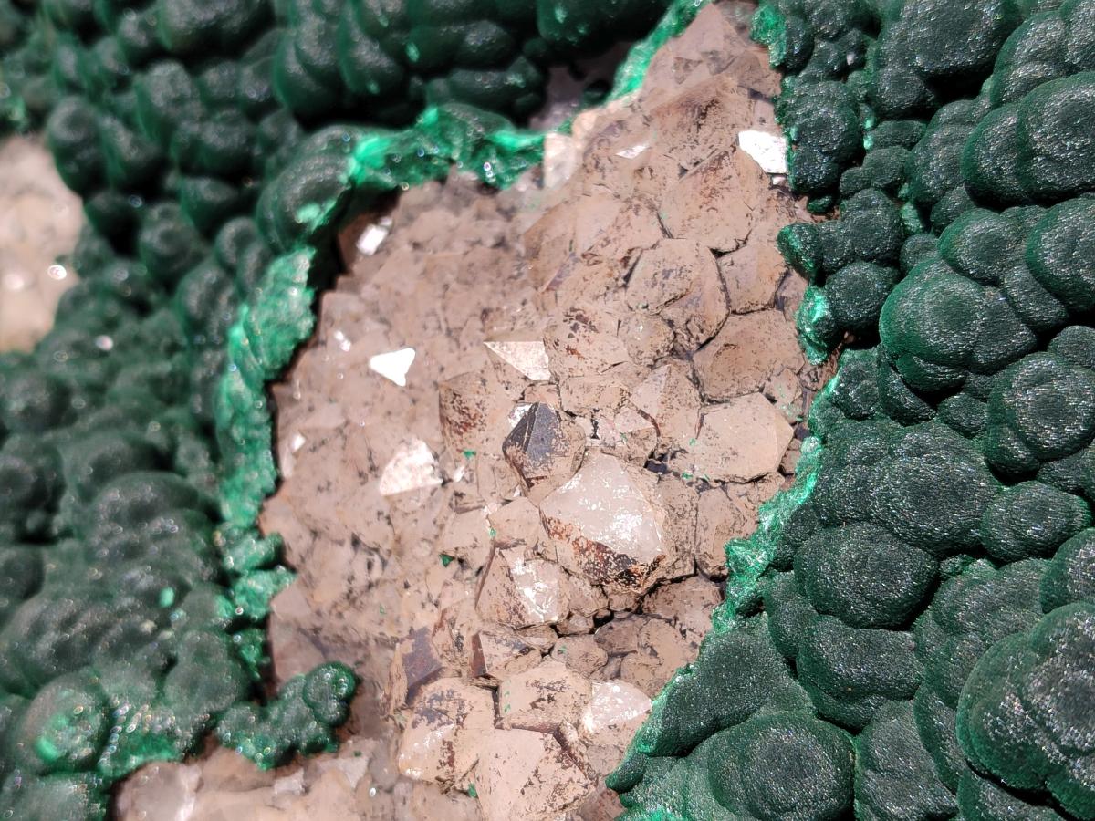 Natural XXL Botryoidal Malachite Specimen In Quartz x 1 From Congo