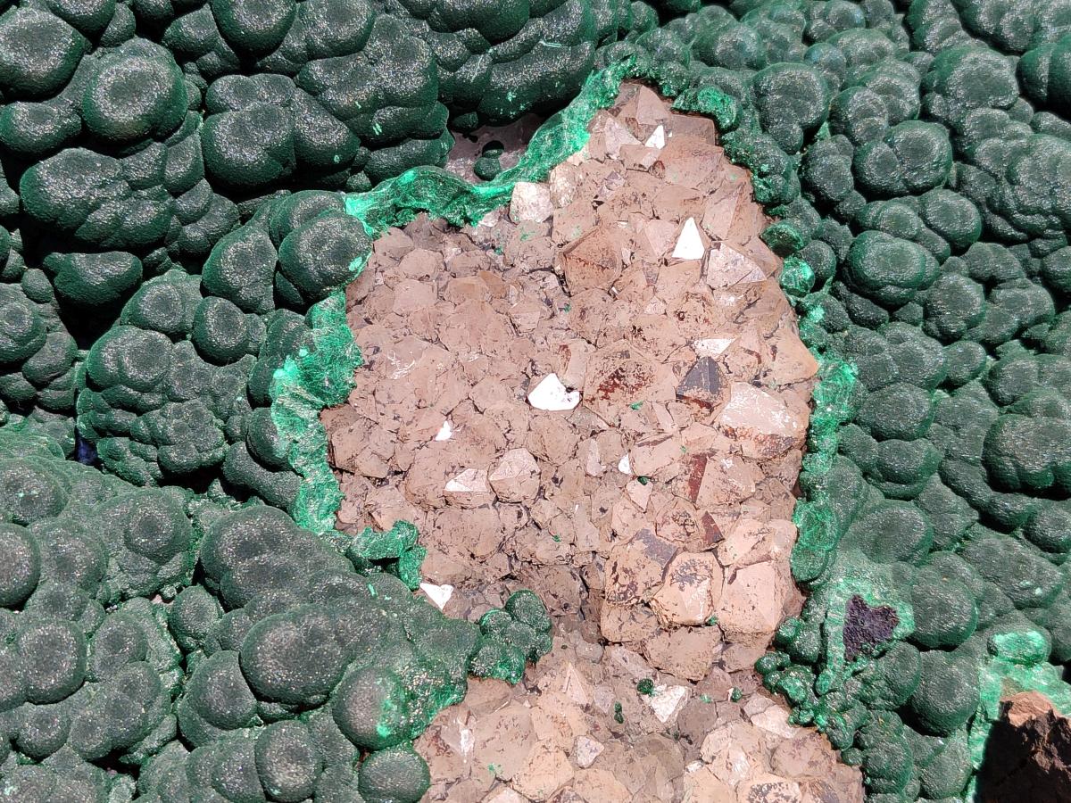 Natural XXL Botryoidal Malachite Specimen In Quartz x 1 From Congo