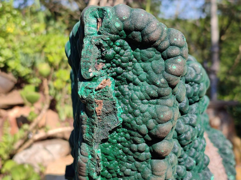 Natural XXL Botryoidal Malachite Specimen In Quartz x 1 From Congo