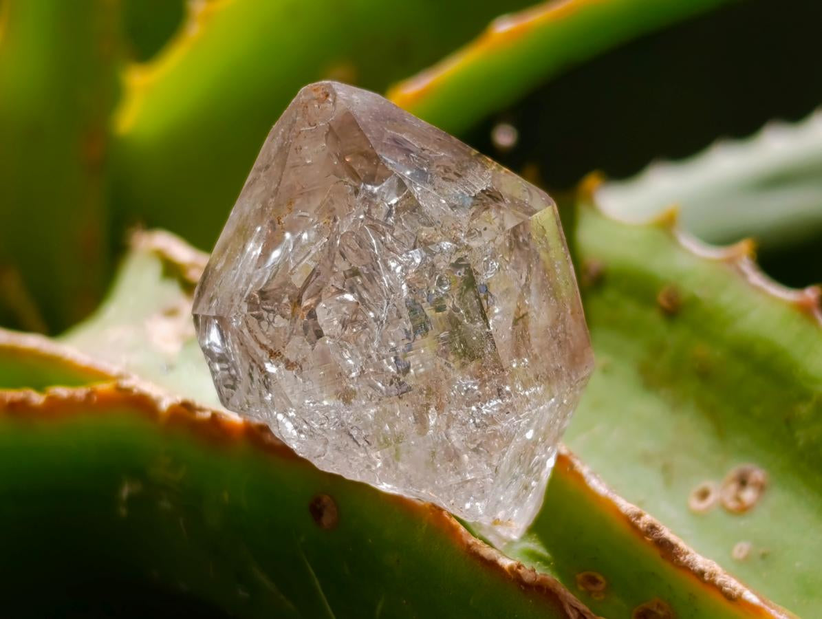 Natural Mix of Smokey, Clear and Amethyst Quartz Crystals x 12 From Brandberg, Namibia