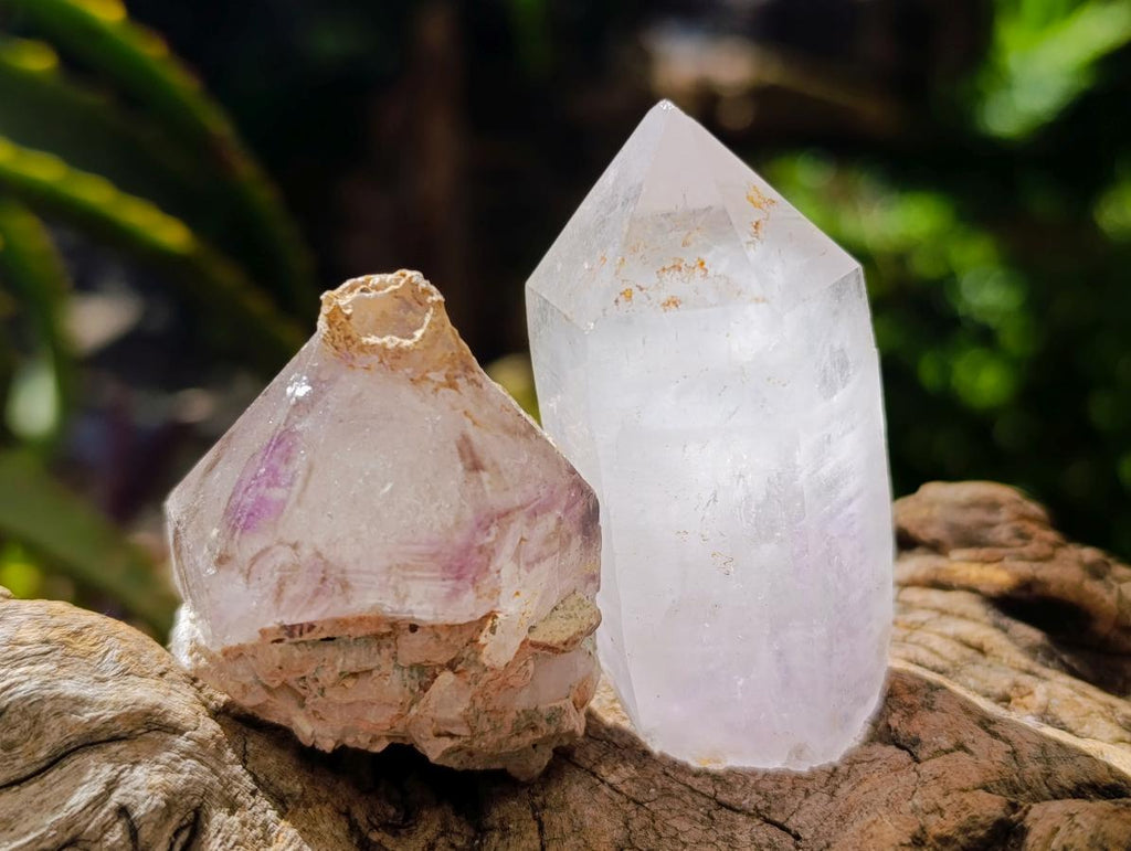 Natural Mix of Smokey, Clear and Amethyst Quartz Crystals x 12 From Brandberg, Namibia
