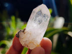 Natural Mix of Smokey, Clear and Amethyst Quartz Crystals x 12 From Brandberg, Namibia