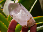 Natural Mix of Smokey, Clear and Amethyst Quartz Crystals x 12 From Brandberg, Namibia