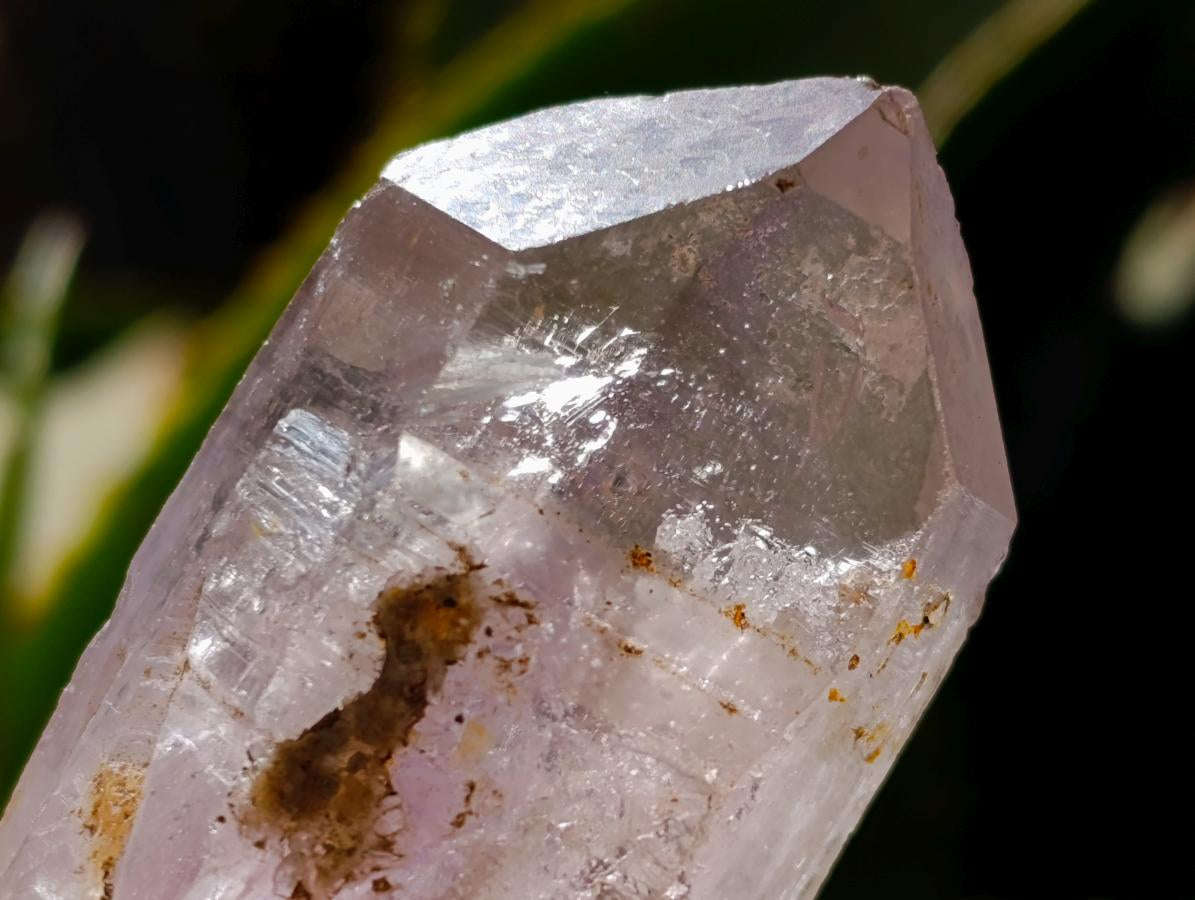 Natural Mix of Smokey, Clear and Amethyst Quartz Crystals x 12 From Brandberg, Namibia