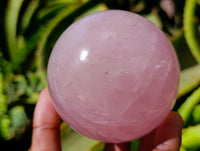 Polished Star Rose Quartz Spheres x 3 From Madagascar
