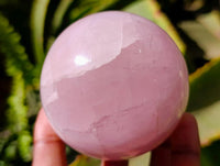 Polished Star Rose Quartz Spheres x 3 From Madagascar