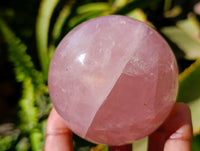 Polished Star Rose Quartz Spheres x 3 From Madagascar