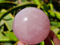 Polished Star Rose Quartz Spheres x 3 From Madagascar