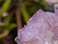Natural Sunburst Amethyst Spirit Clusters x 3 From Boekenhouthoek, South Africa